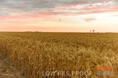 December 2016 / CROP_FIELDS_1213