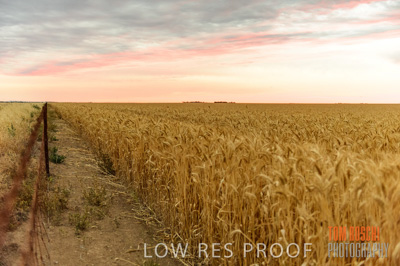 December 2016 / CROP_FIELDS_1214