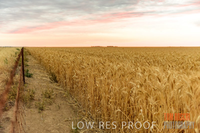 December 2016 / CROP_FIELDS_1215