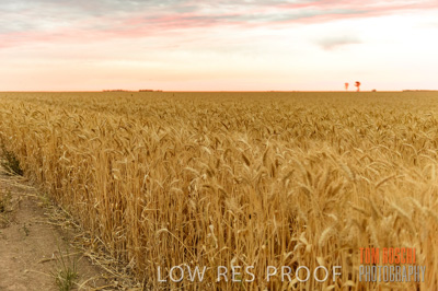 December 2016 / CROP_FIELDS_1216