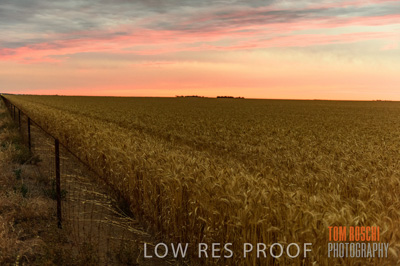 December 2016 / CROP_FIELDS_1217