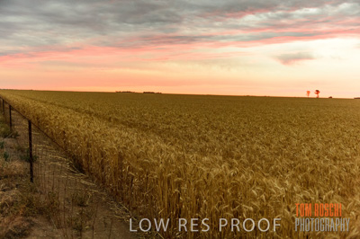 December 2016 / CROP_FIELDS_1218