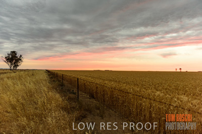December 2016 / CROP_FIELDS_1219