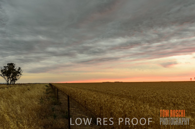 December 2016 / CROP_FIELDS_1220