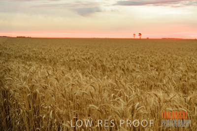 December 2016 / CROP_FIELDS_1221