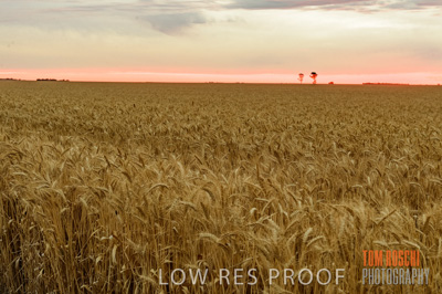 December 2016 / CROP_FIELDS_1222