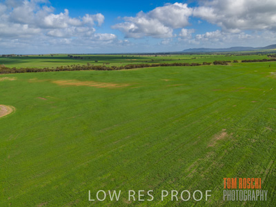 August 2017 / CROP_FIELDS_1312