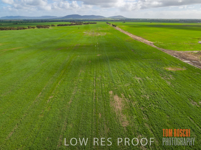 August 2017 / CROP_FIELDS_1313