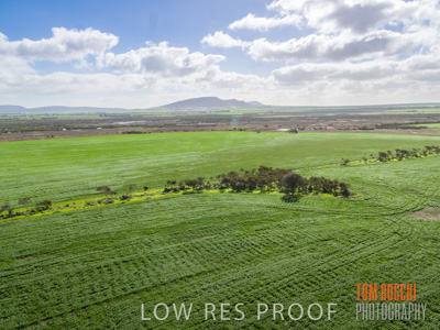 August 2017 / CROP_FIELDS_1315