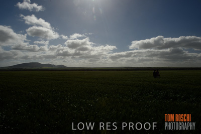 August 2017 / CROP_FIELDS_1319