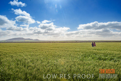 August 2017 / CROP_FIELDS_1320
