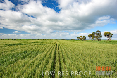 August 2017 / CROP_FIELDS_1321