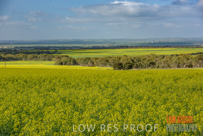 August 2017 / CROP_FIELDS_1335