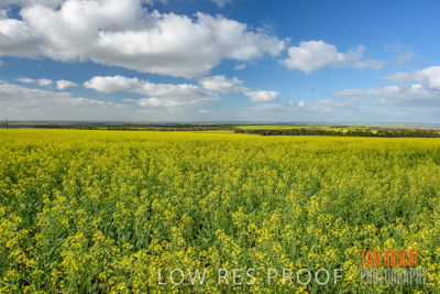 August 2017 / CROP_FIELDS_1336