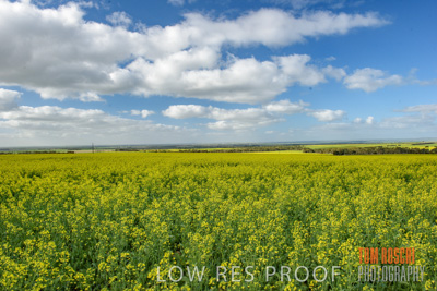 August 2017 / CROP_FIELDS_1341