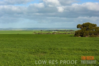 August 2017 / CROP_FIELDS_1355
