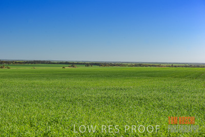 August 2017 / CROP_FIELDS_1368
