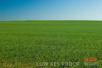 June 2007 / CROP_FIELDS_138