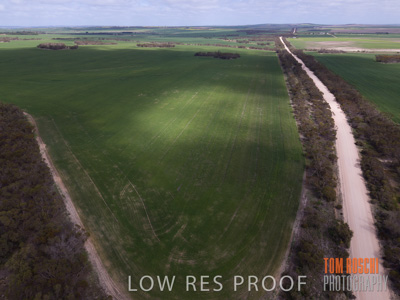 August 2017 / CROP_FIELDS_1398