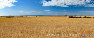 November 2017 / CROP_FIELDS_1407