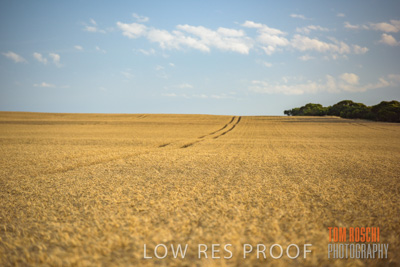 December 2017 / CROP_FIELDS_1432