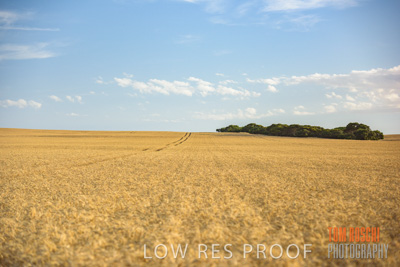 December 2017 / CROP_FIELDS_1434