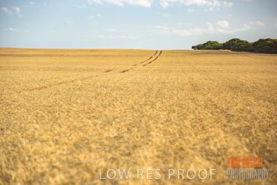 December 2017 / CROP_FIELDS_1440