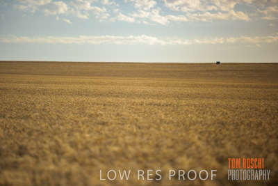 December 2017 / CROP_FIELDS_1448