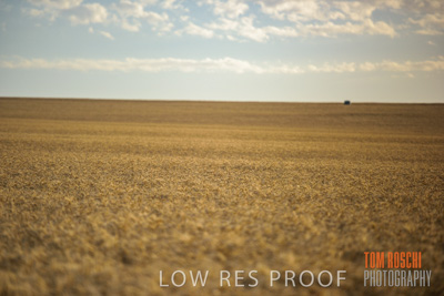 December 2017 / CROP_FIELDS_1449