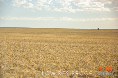 December 2017 / CROP_FIELDS_1450