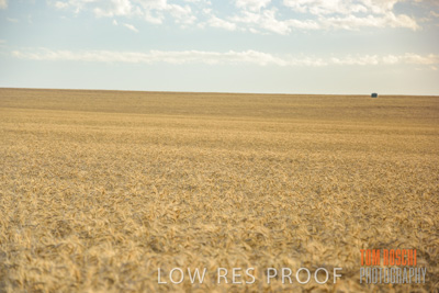 December 2017 / CROP_FIELDS_1451