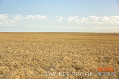 December 2017 / CROP_FIELDS_1452