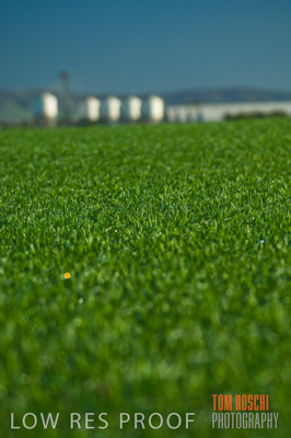 June 2007 / CROP_FIELDS_151