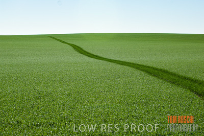 June 2007 / CROP_FIELDS_162
