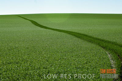 June 2007 / CROP_FIELDS_163