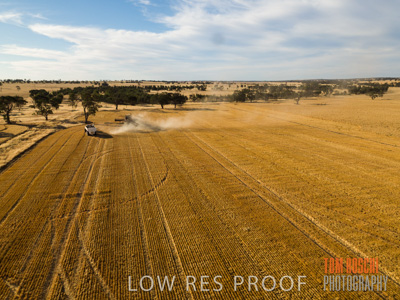 December 2018 / CROP_FIELDS_1672