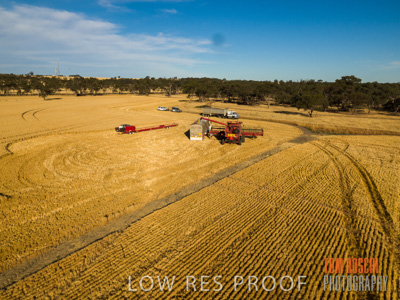 December 2018 / CROP_FIELDS_1676