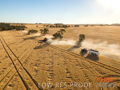 December 2018 / CROP_FIELDS_1682