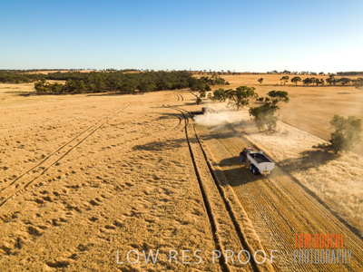 December 2018 / CROP_FIELDS_1683