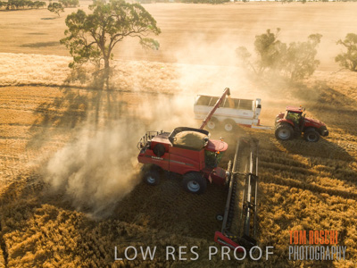 December 2018 / CROP_FIELDS_1686