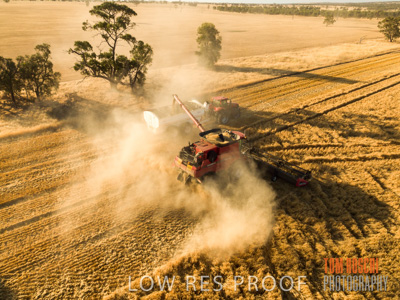 December 2018 / CROP_FIELDS_1688