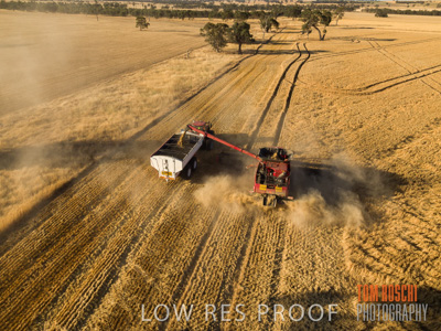 December 2018 / CROP_FIELDS_1690