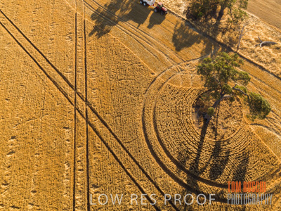 December 2018 / CROP_FIELDS_1691