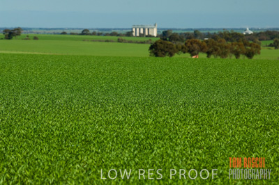 June 2007 / CROP_FIELDS_185