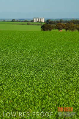 June 2007 / CROP_FIELDS_186