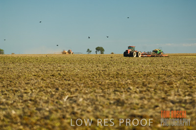 June 2007 / CROP_FIELDS_187