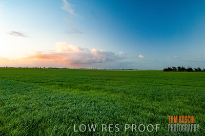 August 2007 / CROP_FIELDS_191