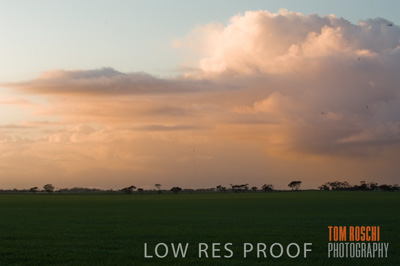 August 2007 / CROP_FIELDS_195