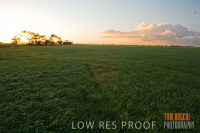 August 2007 / CROP_FIELDS_196
