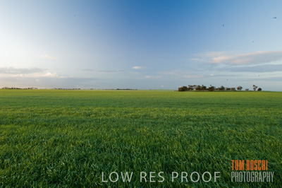 August 2007 / CROP_FIELDS_197